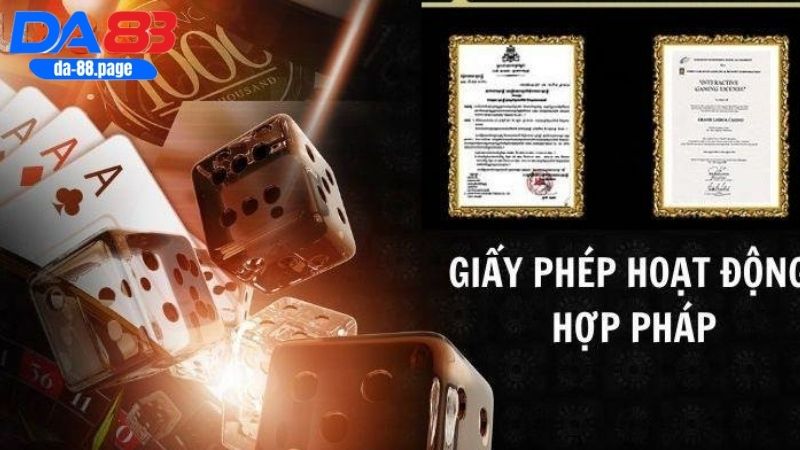 Những loại giấy phép hoạt động DA88 đang sở hữu