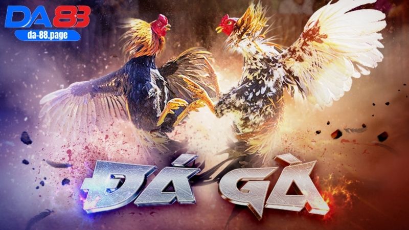 Tìm hiểu trò chơi Đá gà cựa sắt tại DA88